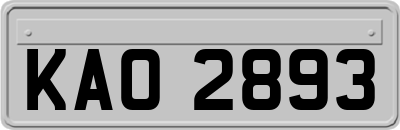 KAO2893