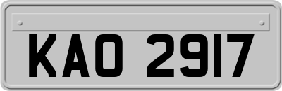 KAO2917