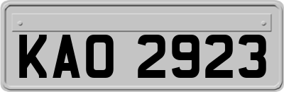 KAO2923