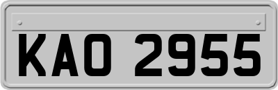 KAO2955