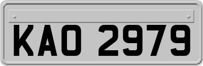 KAO2979