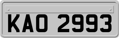 KAO2993