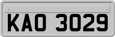 KAO3029