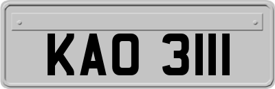 KAO3111