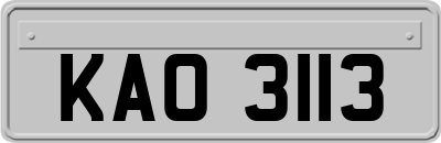 KAO3113