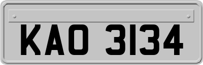 KAO3134