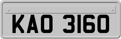 KAO3160