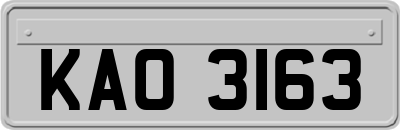 KAO3163