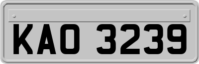 KAO3239