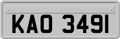 KAO3491