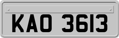 KAO3613