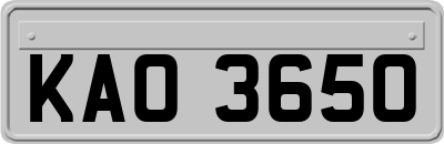 KAO3650