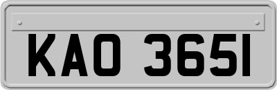 KAO3651