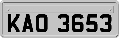 KAO3653