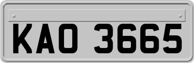 KAO3665