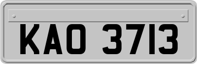 KAO3713