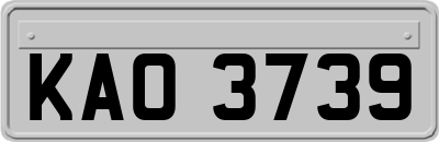 KAO3739