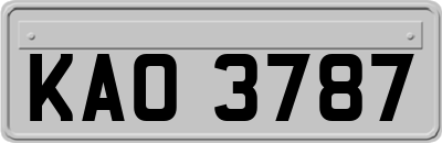 KAO3787