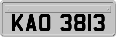 KAO3813