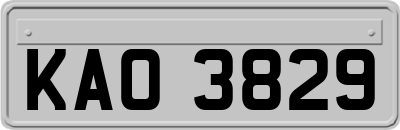 KAO3829