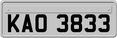 KAO3833