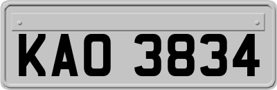 KAO3834