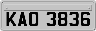 KAO3836