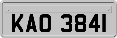 KAO3841