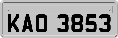 KAO3853
