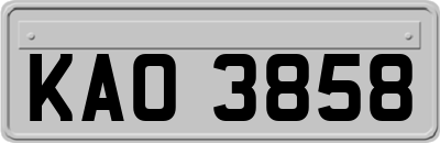 KAO3858