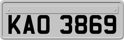 KAO3869