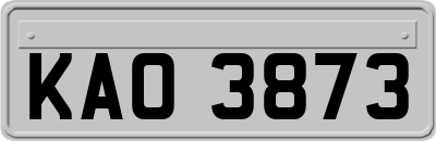 KAO3873