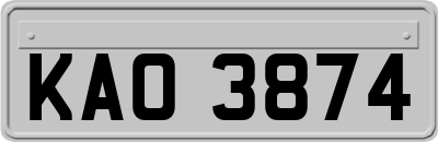 KAO3874