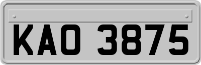 KAO3875