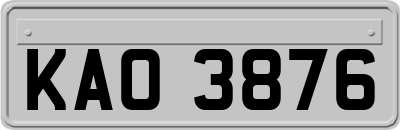 KAO3876