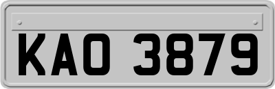 KAO3879
