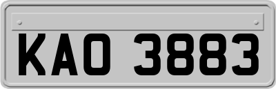 KAO3883