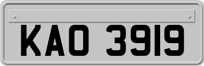 KAO3919
