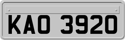 KAO3920