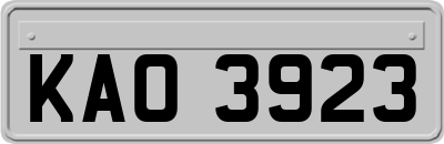 KAO3923