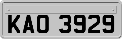 KAO3929