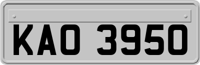 KAO3950