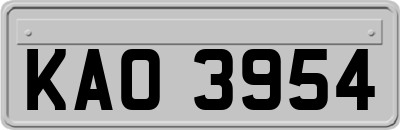 KAO3954