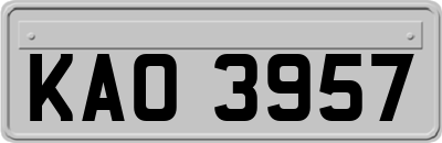 KAO3957