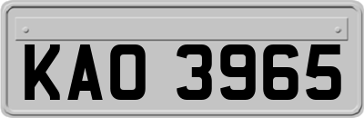 KAO3965