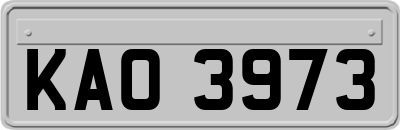 KAO3973
