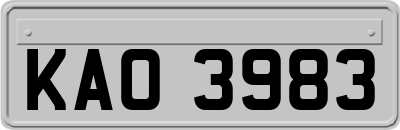 KAO3983