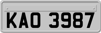 KAO3987