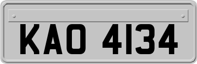 KAO4134