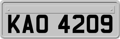 KAO4209